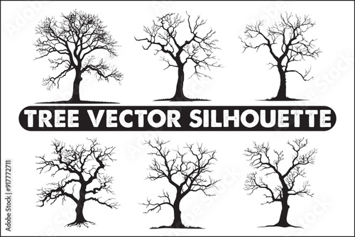 Tree without leaves, bare tree, leafless tree, winter tree, dormant tree, dead-looking tree, skeletal tree, branchy tree, twiggy tree, naked tree, exposed tree, stripped tree, barren tree, unadorned t