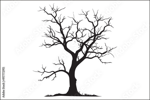 Tree without leaves, bare tree, leafless tree, winter tree, dormant tree, dead-looking tree, skeletal tree, branchy tree, twiggy tree, naked tree, exposed tree, stripped tree, barren tree, unadorned t