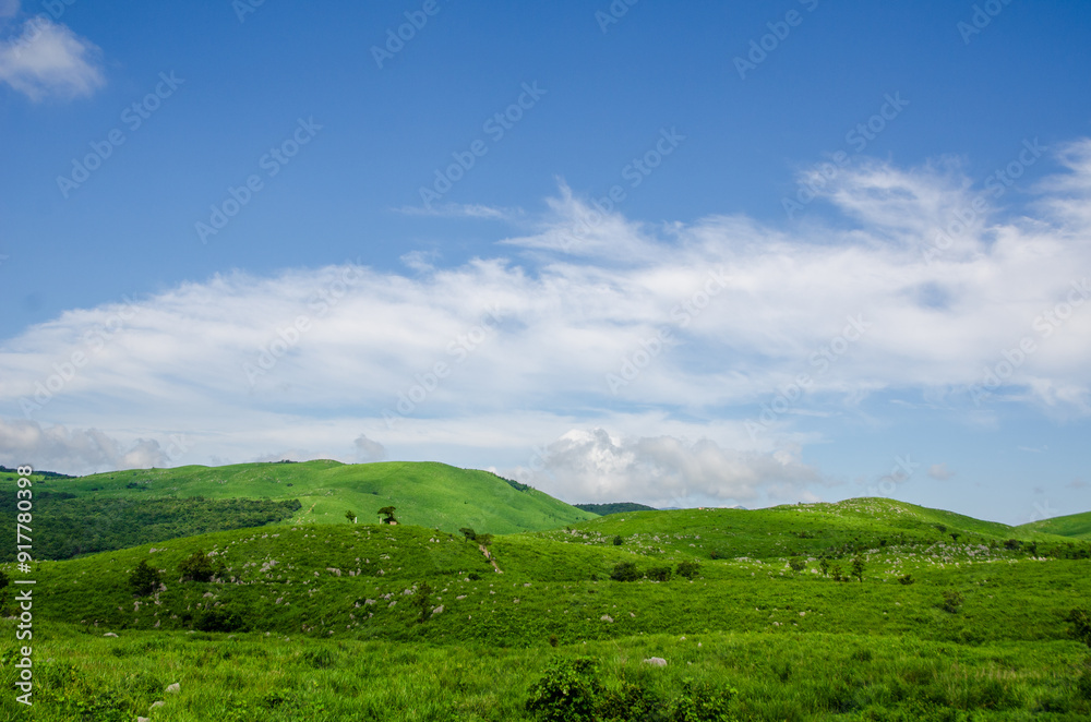 Obraz premium 夏の空