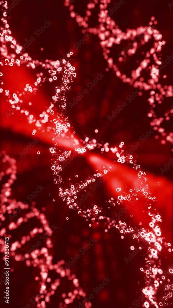 3D animation of red colored DNA helix moving in loop