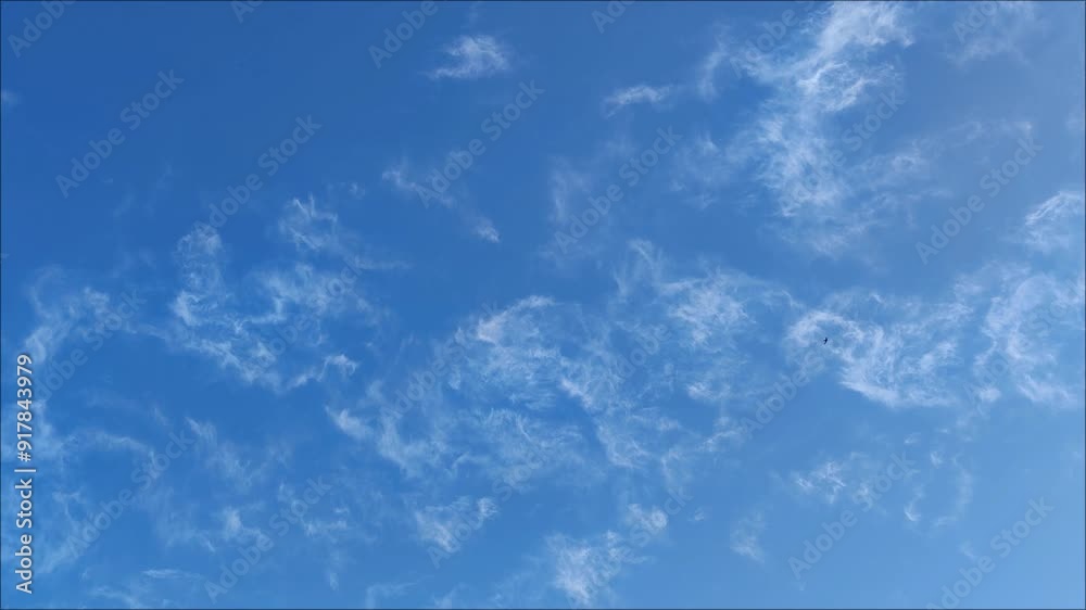 It's dawning and cirrus clouds of multiple shapes are seen It's dawning and cirrus clouds of multiple shapes are seen