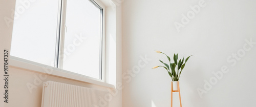 Minimalist Interior Design with a White Wall and a Plant