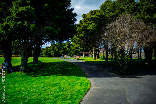 Beautiful sunny day in the Botanic Garden in East Auckland, New Zealand.