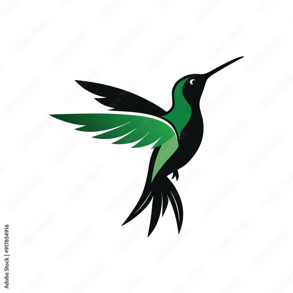 Fototapeta premium Elegant silhouette hummingbird vector.