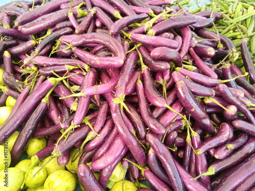 Fresh Brinjal (Eggplant) Ready for Cooking