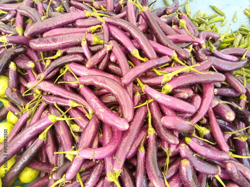 Fresh Brinjal (Eggplant) Ready for Cooking Fresh Brinjal (Eggplant) Ready for Cooking