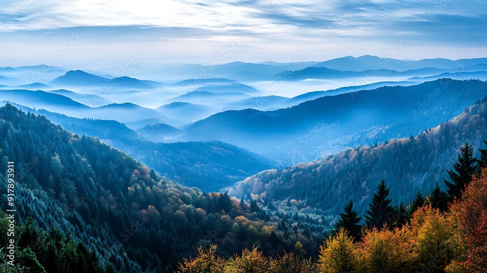 Mountain range with a misty blue sky above and a dense green forest in the foreground. Mountain range with a misty blue sky above and a dense green forest in the foreground.