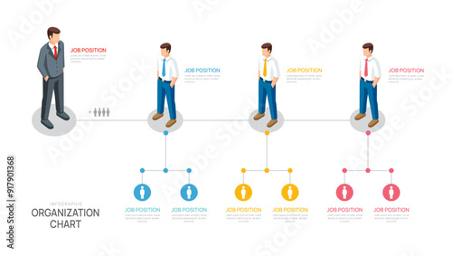 organization structure diagram Infographic template with business avatar icons. vector infographic for business.