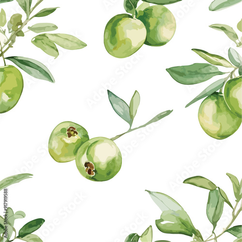 Olive Watercolor illustration. Hand drawn underwater element design. Artistic vector marine design element. Illustration for greeting cards, printing and other design projects.
