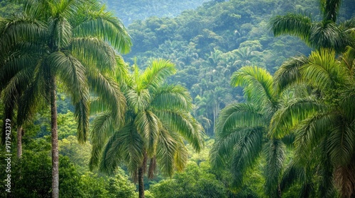 Tropical Rainforest with Palm Trees