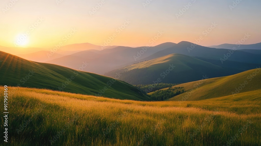 The Carpathian hills at dawn, with grass-covered slopes glowing in the first light of the day, under a clear sky. The Carpathian hills at dawn, with grass-covered slopes glowing in the first light of the day, under a clear sky.