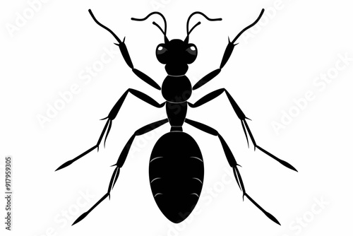 Vector illustration of a ant on white background