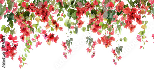 Seamless Horizontal Watercolor Bougainvillea vines isolated on transparent background PNG