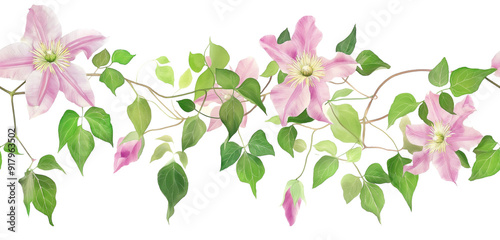 Seamless Horizontal Watercolor Clematis vines Flowers isolated on transparent background PNG