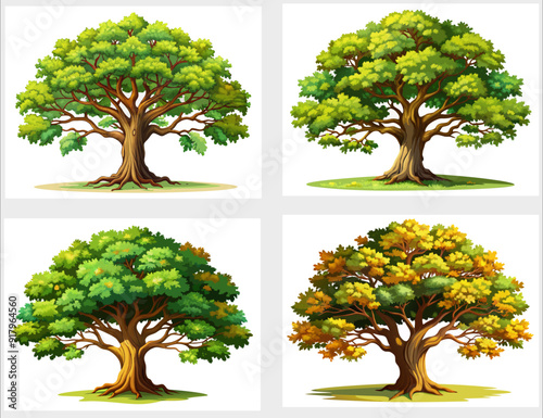 A collage of four trees, oaks in different seasons: one fully green, one with yellow leaves, one with a mixture of green and yellow, and one with autumn colors.