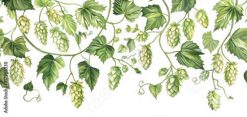 Wallpaper Mural Seamless Horizontal Watercolor Hops vines isolated on transparent background Torontodigital.ca