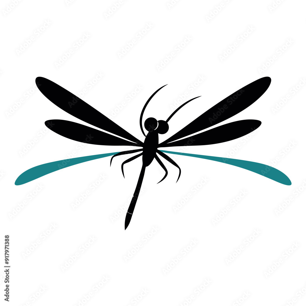 vector illustrations of dragonfly on white background vector illustrations of dragonfly on white background