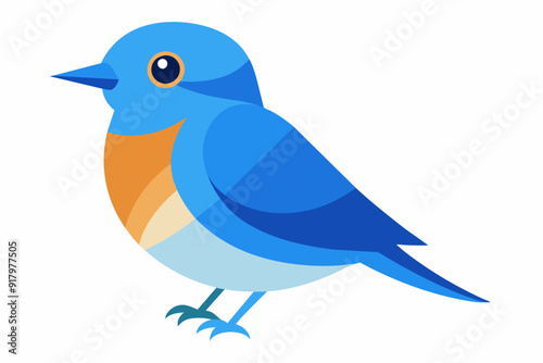 Vector illustration of a eastern bluebird on white background