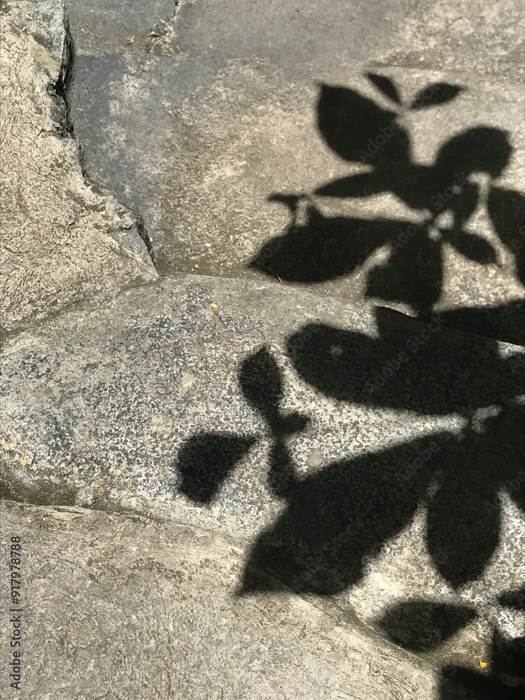shadow on the ground