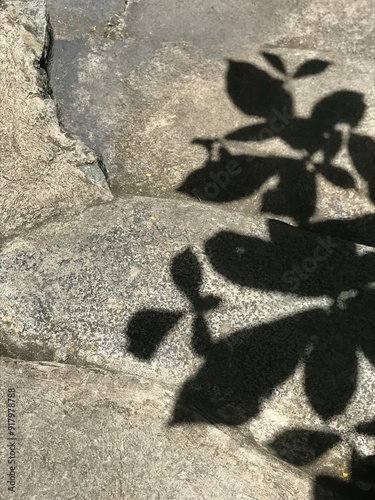 Obraz na płótnie shadow on the ground w salonie