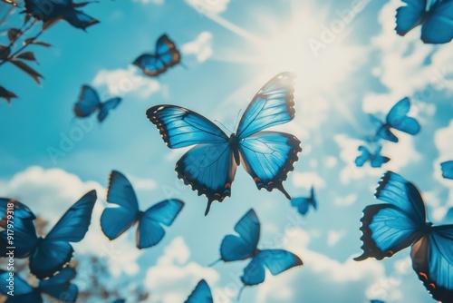 Wallpaper Mural Blue Butterflies Flying Torontodigital.ca