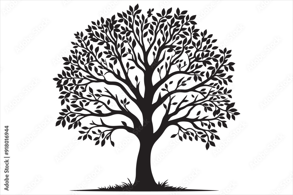 Fototapeta premium Tree Silhouette Image.