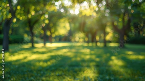 Abstract summer park: blurred green trees and lawn in natural light