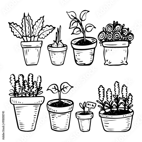 Set of plants in pots hand drawn in doodle style. Flowers with buds and seedlings with leaves planted in containers. Garden decor. Vector line art illustration.