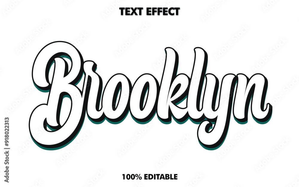 Retro college typography Brooklyn city slogan with outline font for man and woman tee t shirt or sweatshirt Retro college typography Brooklyn city slogan with outline font for man and woman tee t shirt or sweatshirt