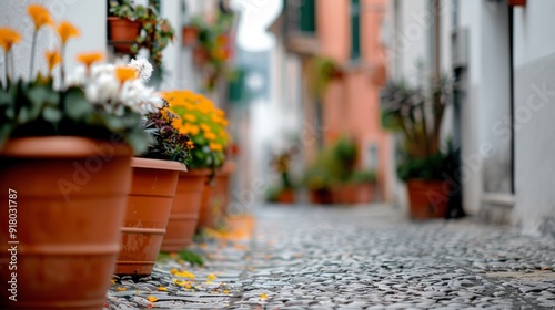 Charming Cobblestone Alleyway Lined With Flower Pots in a Quaint Village Duri...