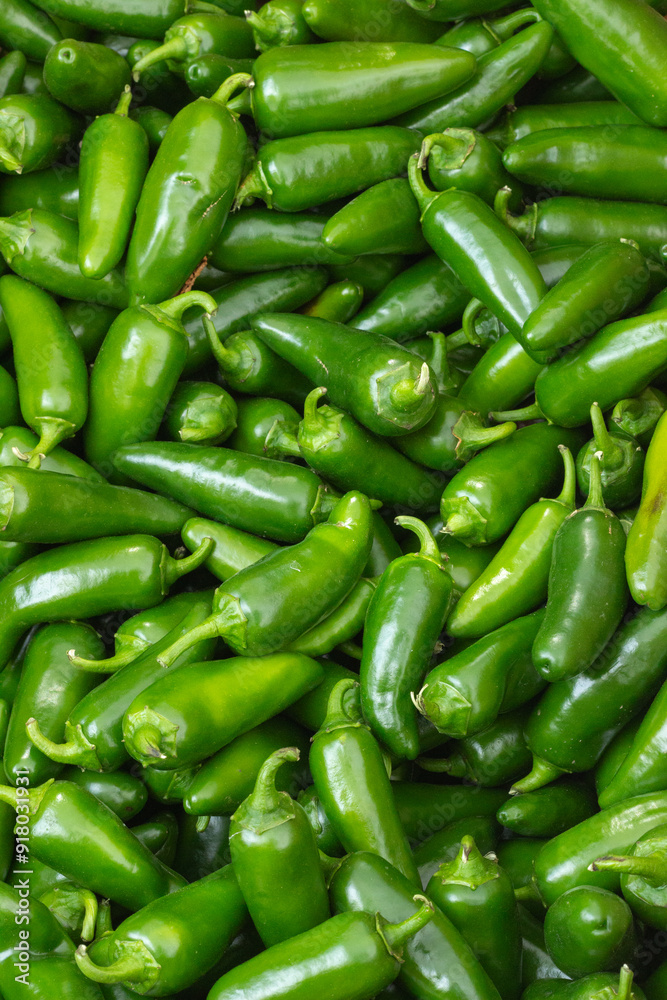 Close up of Freshly harvested organic Jalapeno peppers at Trout Lake Farmer's Market in British Columbia Close up of Freshly harvested organic Jalapeno peppers at Trout Lake Farmer's Market in British Columbia