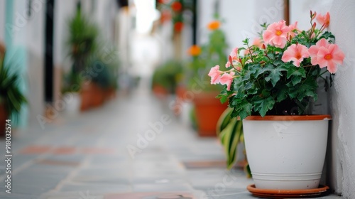 Charming Cobblestone Alleyway Lined With Flower Pots in a Quaint Village Duri...