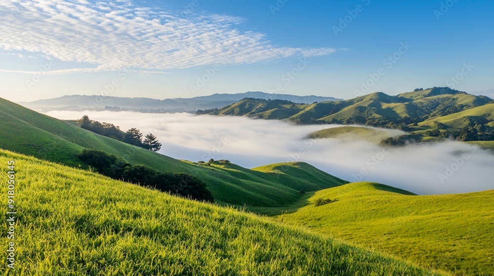 Obraz premium the hills are green and the sky is clear