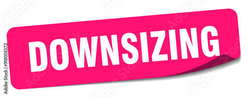 DOWNSIZING