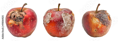 set of rotten apple on isolated background photo