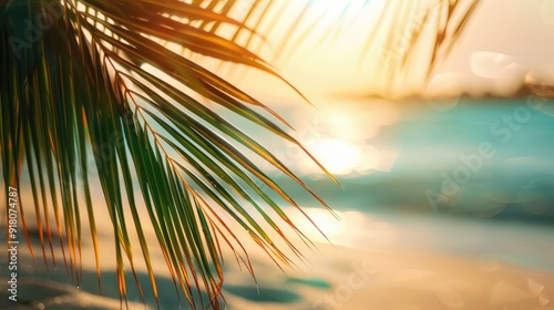 Blurred green palm leaf with sunlit beach background. Summer vacation and travel concept in vintage tones.