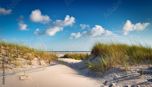 beach sand dunes in new smyrna beach in sunny day florida photo