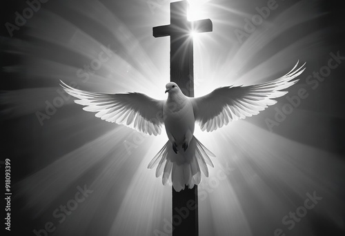 Pentecost Sunday. Pentecost background with flying dove and cross photo