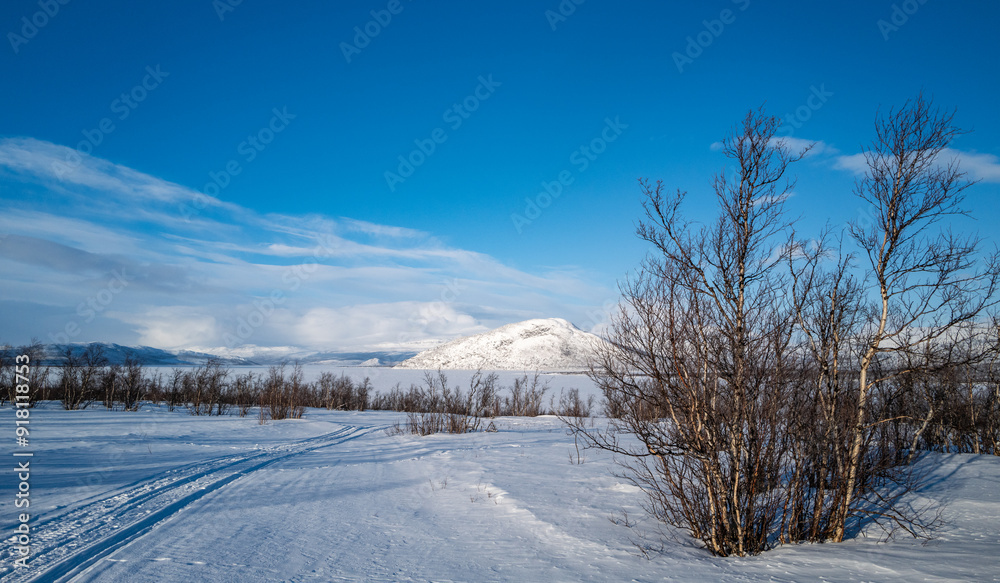 Tranquil winter scene: snow-covered ground, path, leafless tree, Abisko, Sweden Tranquil winter scene: snow-covered ground, path, leafless tree, Abisko, Sweden