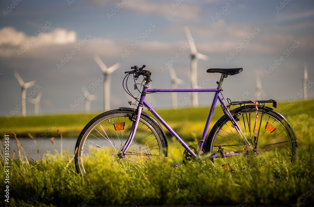 Naklejka premium Green holidays in Zeeland, Netherlands