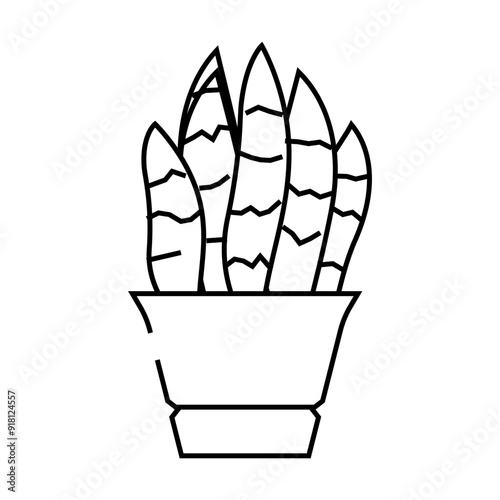 sansevieria trifasciata line icon vector. sansevieria trifasciata sign. isolated contour symbol black illustration