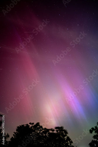 The Northern Lights dance across the summer night sky in Germany, painting it with vibrant shades of green and purple, a rare and breathtaking natural spectacle.