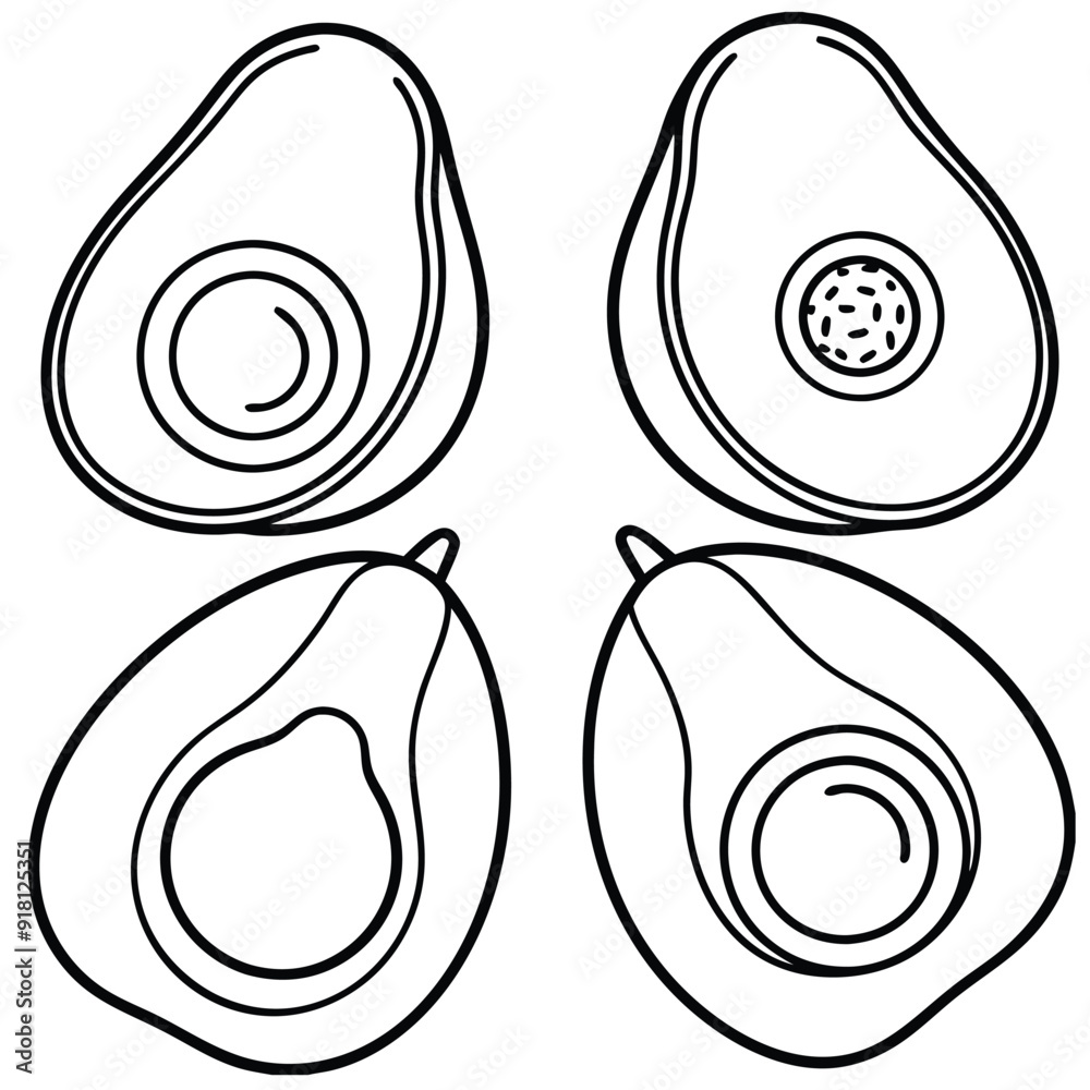 vector avocado illustration, avocado template vector avocado illustration, avocado template