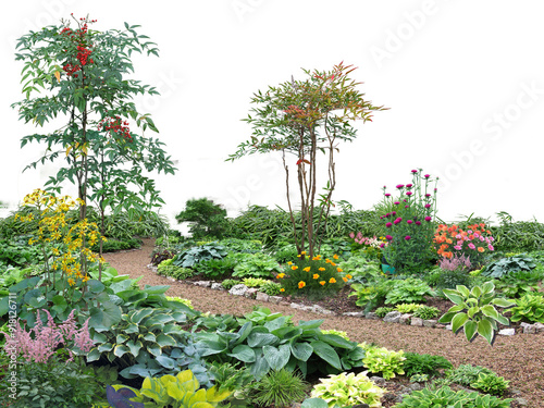 flower garden tree plant on white background with clipping path, 3d illustration, 3d rendering