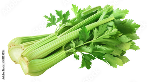 Close-Up View of Celery Isolated on Transparent Background