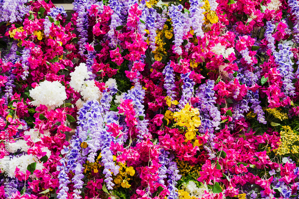 Fototapeta premium Photo background texture, wall of various multi-colored southern flowers.