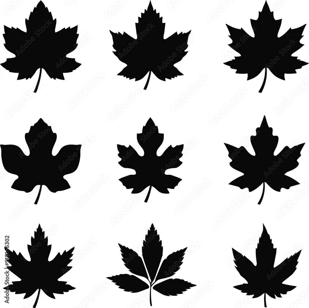 A collection of autumn leaves in a variety of shapes and forms