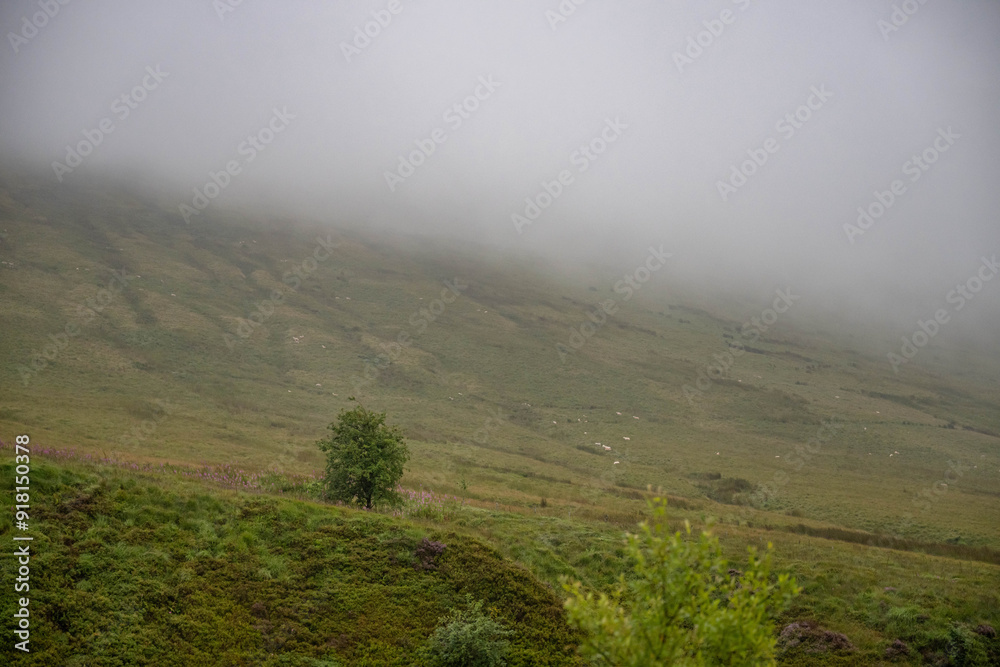 wales wales