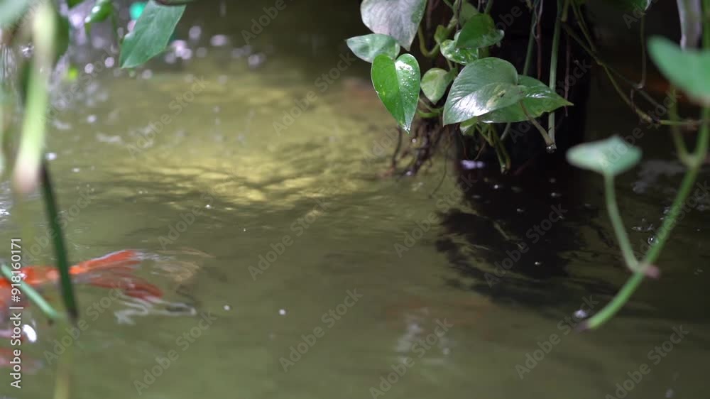 water flowing into the water water flowing into the water