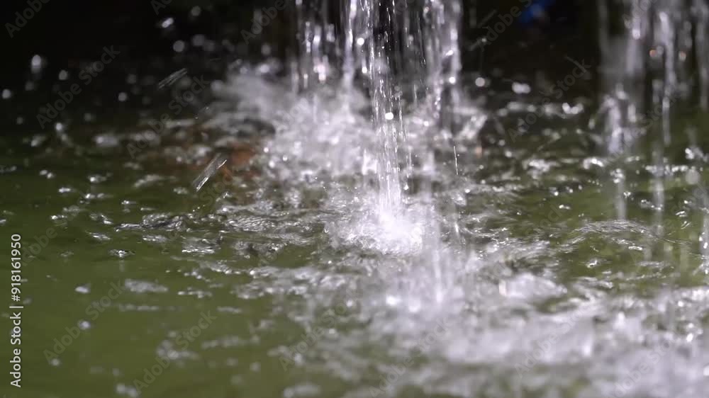 plants in the botanical garden with water flowing in the background - calm and relaxing videos plants in the botanical garden with water flowing in the background - calm and relaxing videos